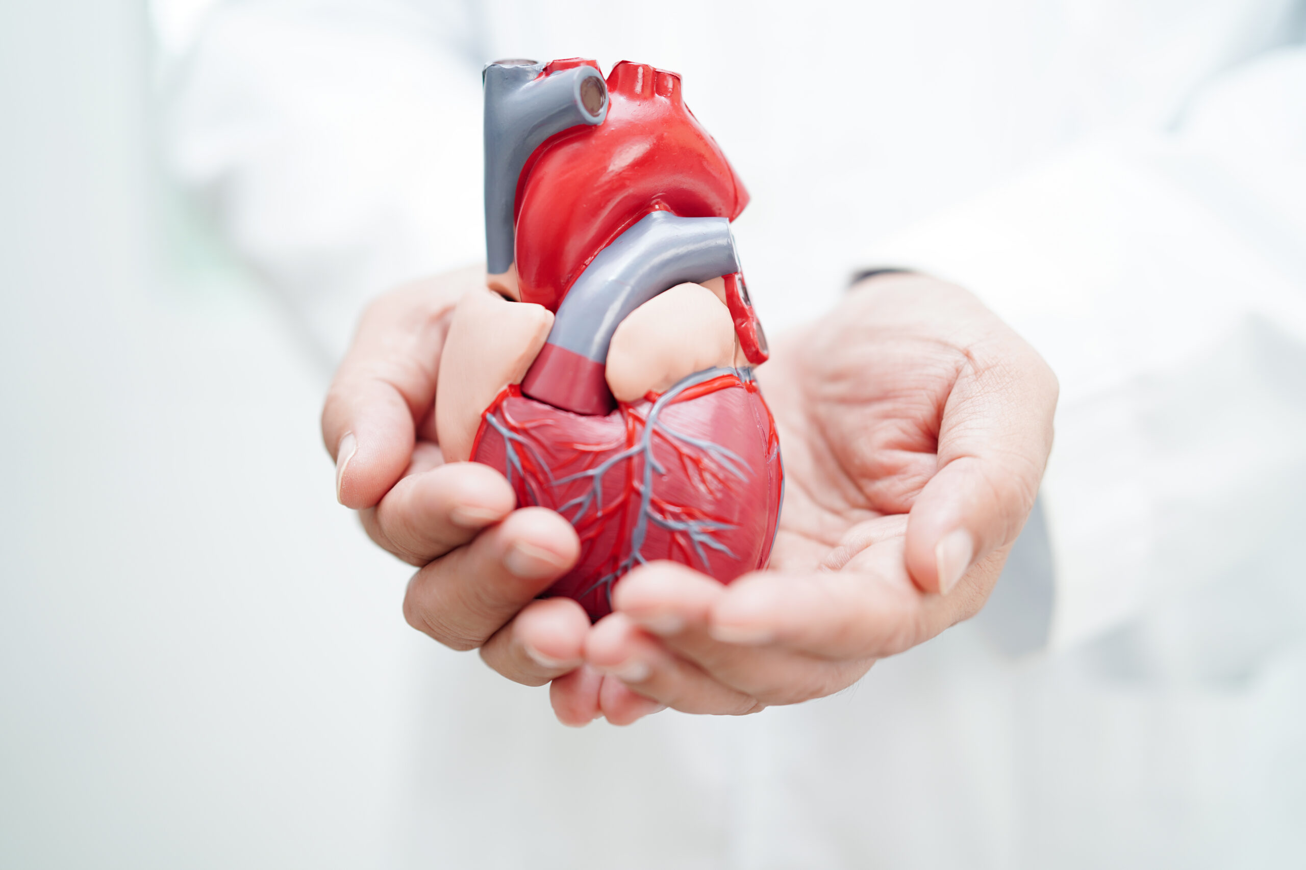Cardiología